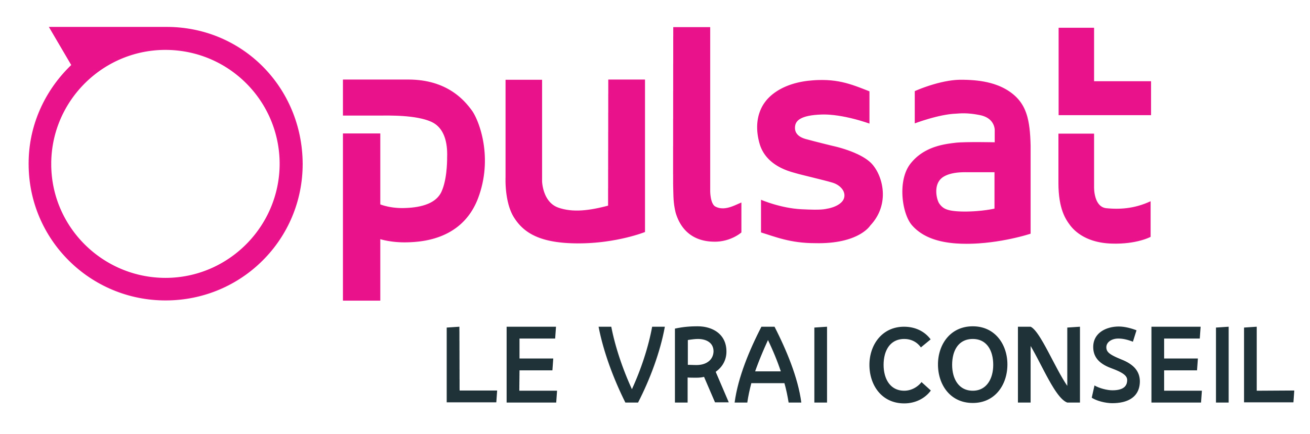 Pulsat le vrai conseil logo